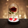 Light Enchanted Rose Light - Beauty and Beast