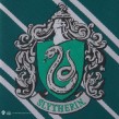 Necktie Woven Slytherin - Harry Potter