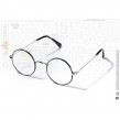 Harry Potter Glasses