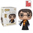 Harry Potter with Hedwig #01 Vinyl Figure (18”)